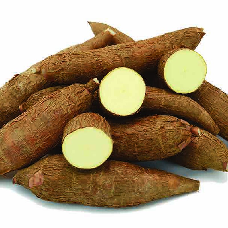 cassava