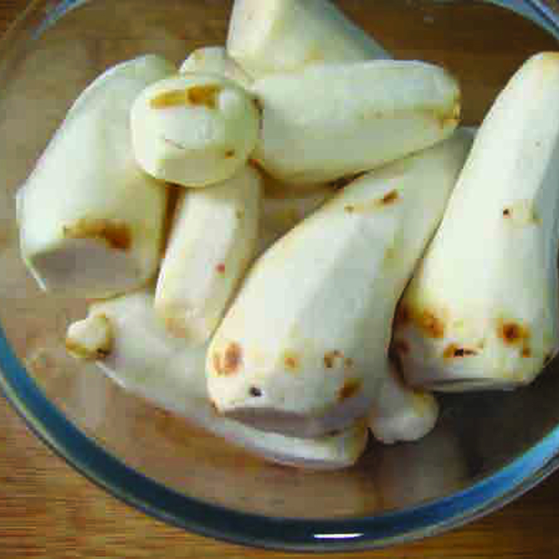 colacassia