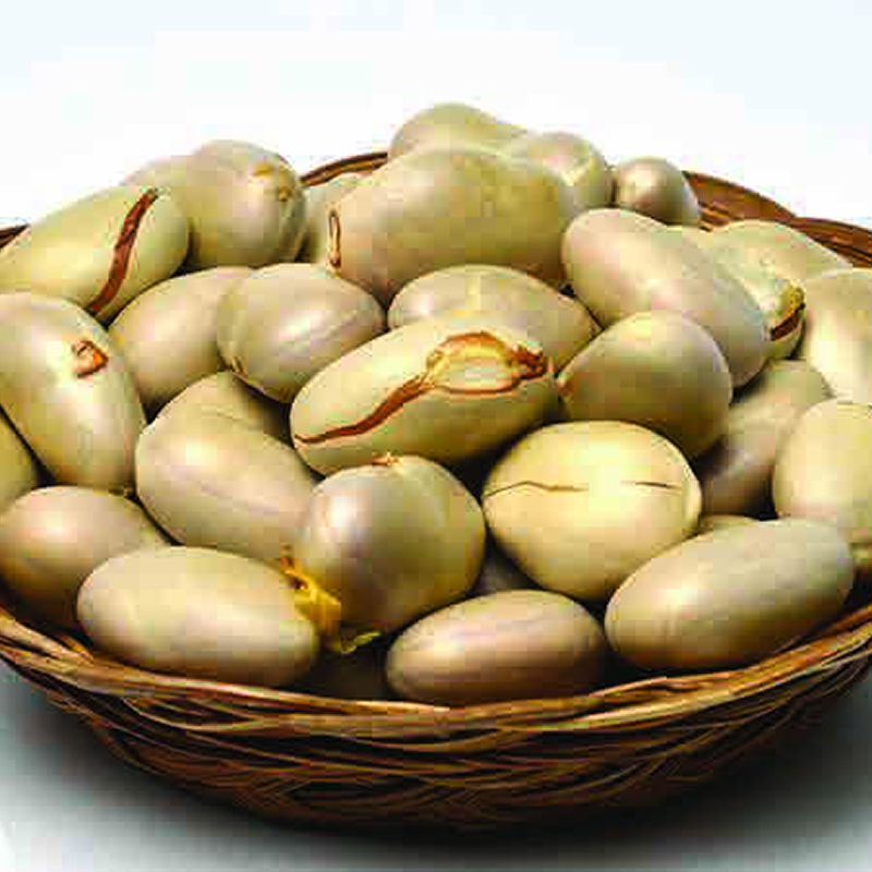 jackfruit-seed-whole